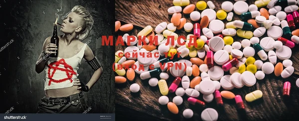 Альфа ПВП Магадан