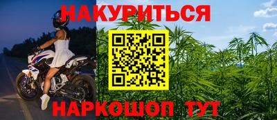 спайс Гай