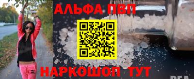 спайс Гай