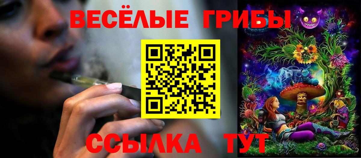 Галлюциногенные грибы Psilocybe  Псилоцибиновые грибы Psilocybe  Вход с VPN  Калининград 