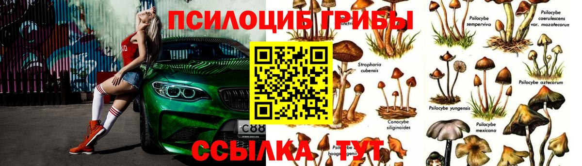 Галлюциногенные грибы ЛСД Калининград